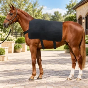 Horse Neck Recovery Wrap
