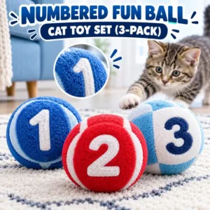 Numbered Fun Ball Cat Toy Set (3-Pack)